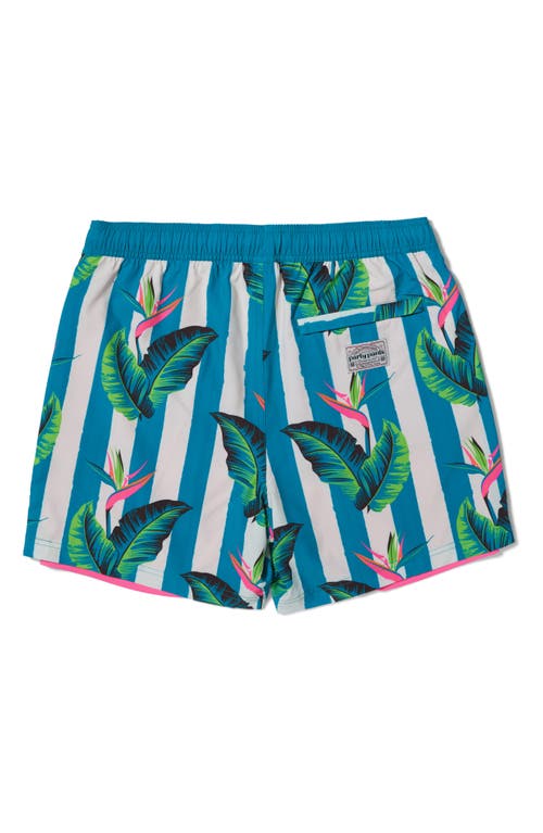 Party Pants Gulf Stripe Sport Swim Trunks In Turquoise