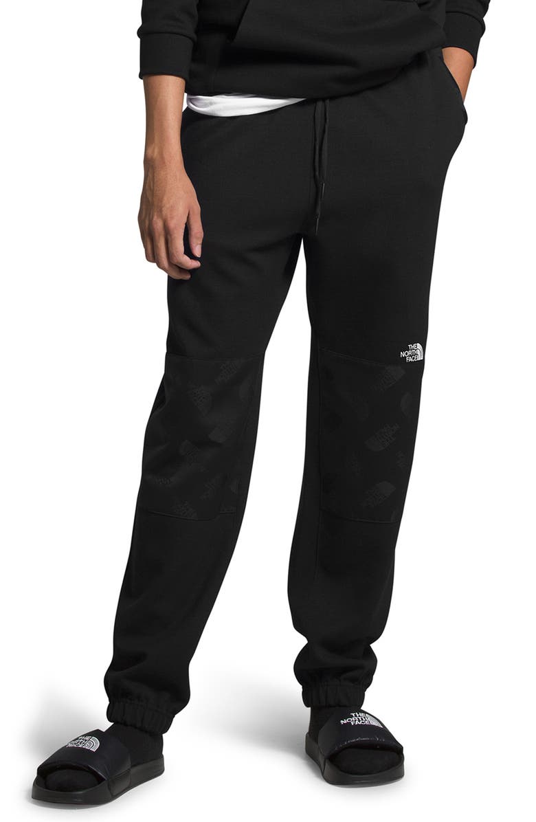 The North Face Graphic Collection Fleece Pants, Main, color,