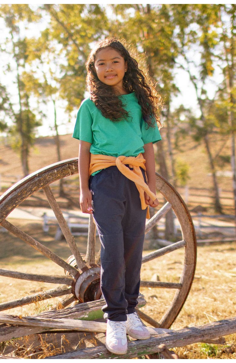 Jackalo Kids' Organic Cotton Raglan T-Shirt, Alternate, color, Parakeet