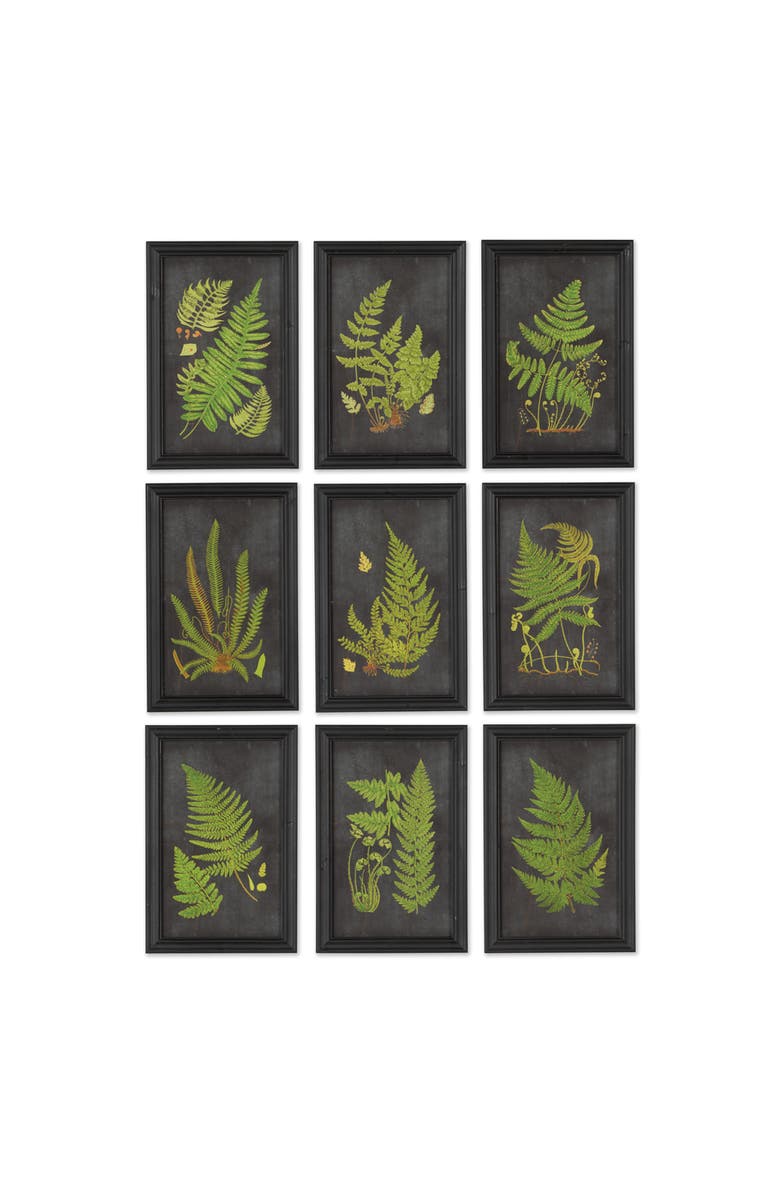 Napa Home & Garden Framed Fern Botanical Prints Set of 9, Main, color, Black