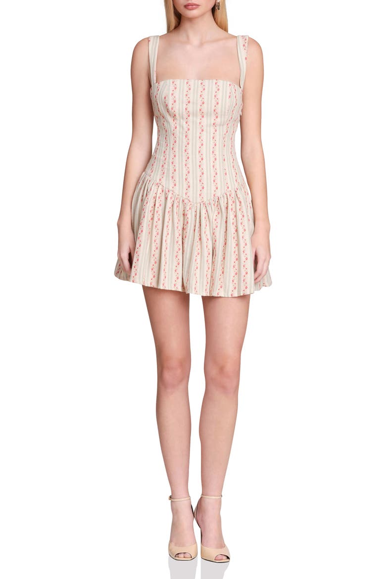 Floral Border Print Drop Waist Minidress, Main, color, ROSE STRIPE MULTI