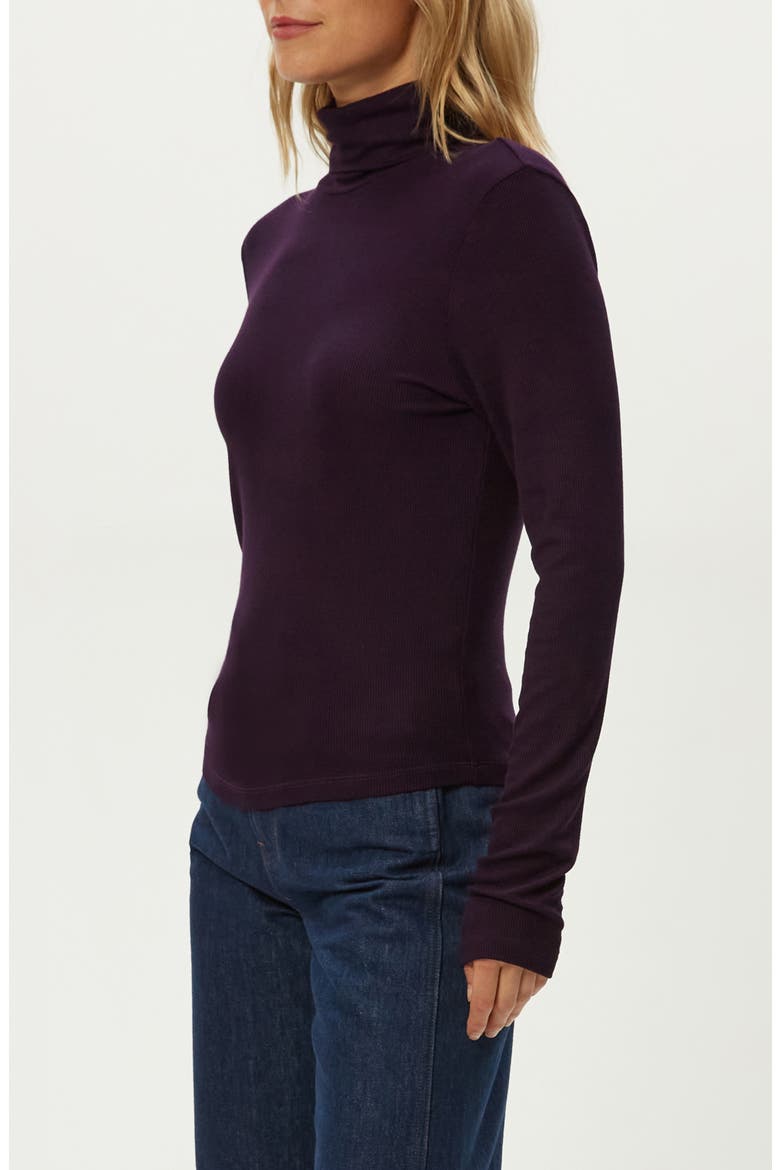 Tara Rib Turtleneck, Alternate, color, GLIMMER