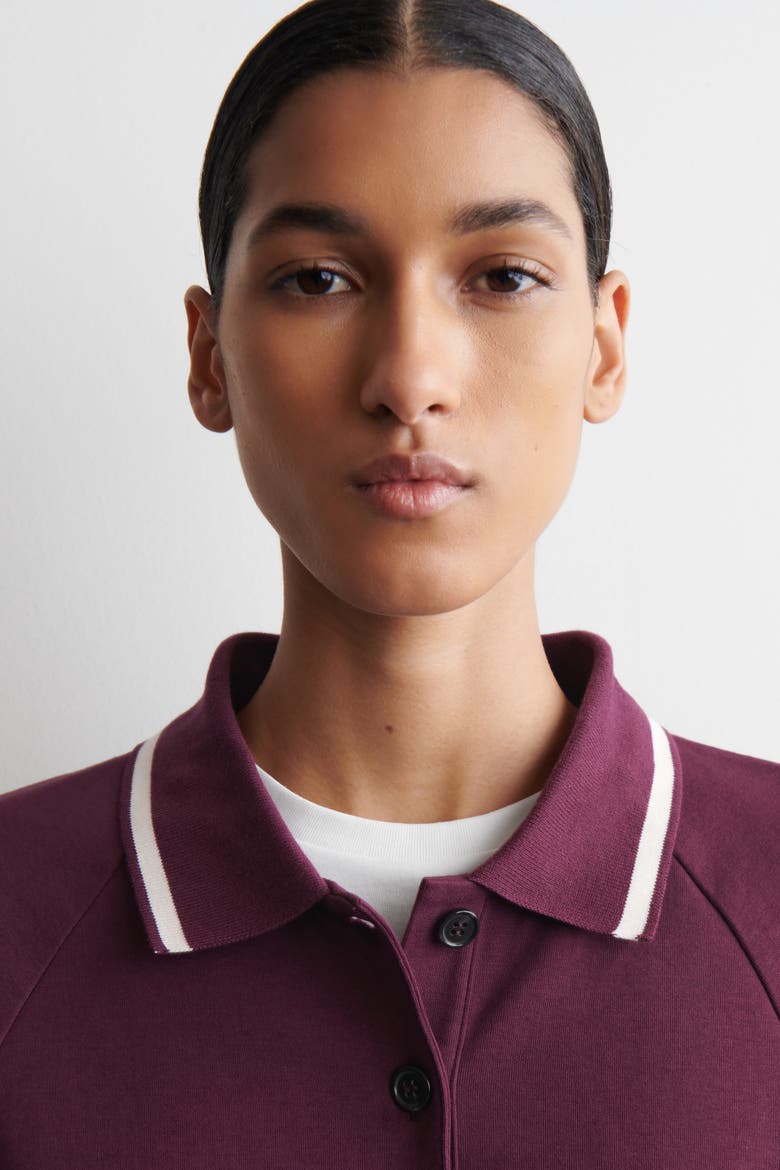 Contrast-Tipped Cotton Polo Top, Alternate, color, BURGUNDY