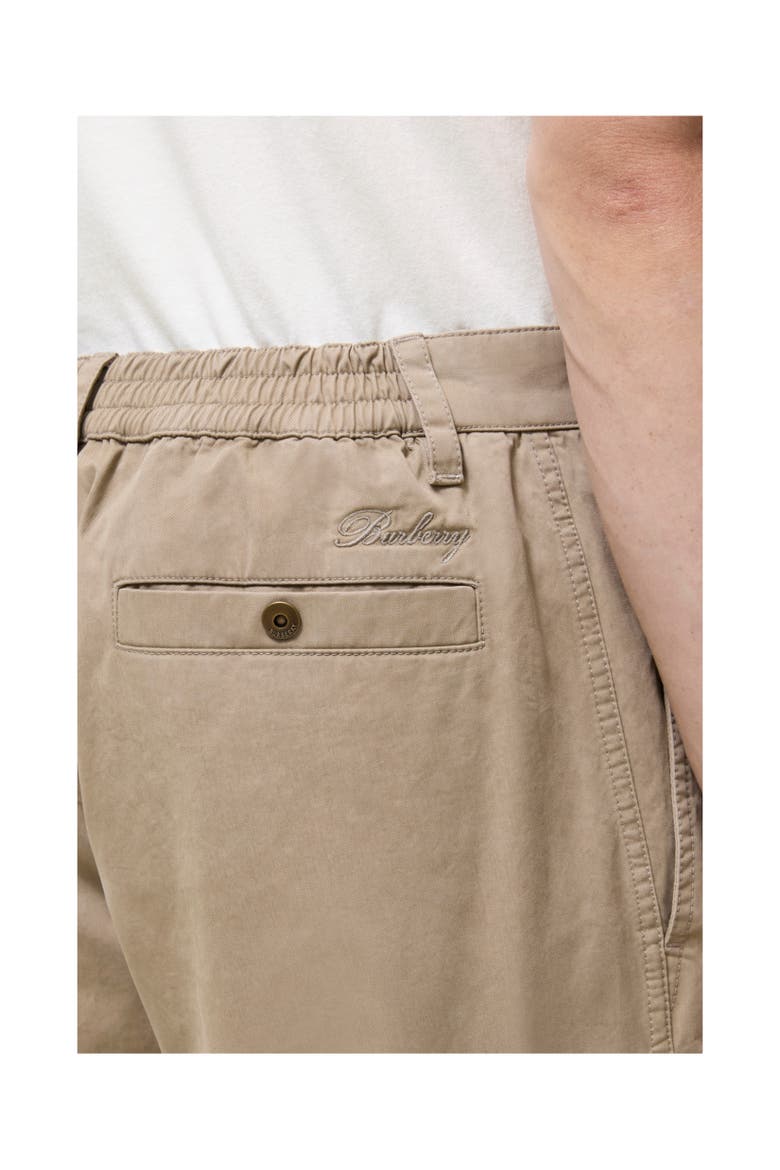 Cotton Twill Cargo Trousers, Alternate, color, Saltmarsh beige