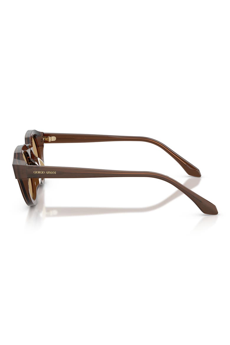 47mm Round Sunglasses, Alternate, color, BRUSHED BROWN / BROWN