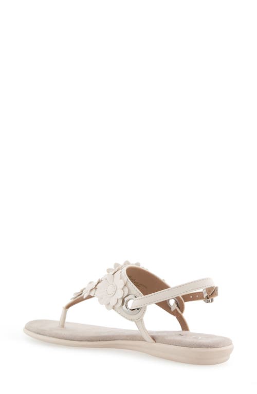 AEROSOLES AEROSOLES CONNIE FLOWER SLINGBACK SANDAL