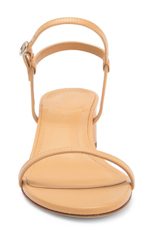 Aeyde Immi Leather Slingback Sandals In Chai
