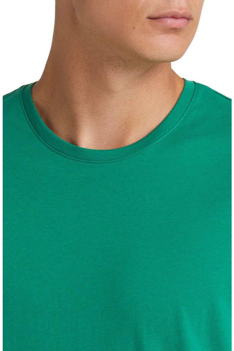 Pima Cotton T-Shirt, Alternate, color, VERDANT GREEN
