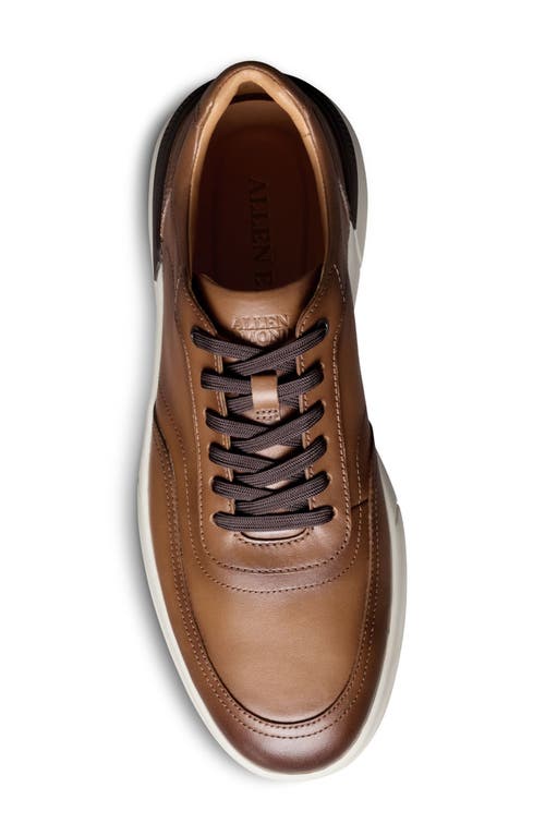 Allen Edmonds Gramercy Sport Sneaker In Brown