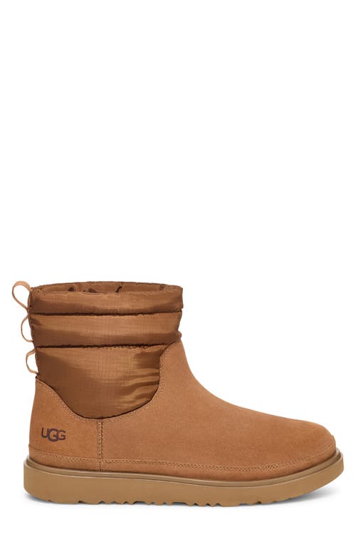 Ugg ® Classic Minimod Waterproof Wool Boot In Chestnut