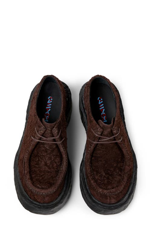 Camperlab Vamonos Derby In Dark Brown