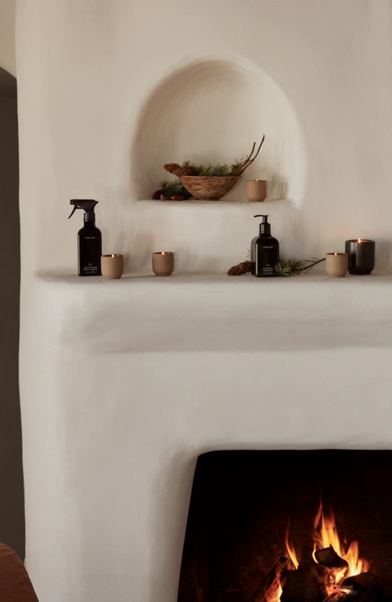 Homecourt Balsam Fireplace Surface Cleaner, Alternate, color, Dark Green