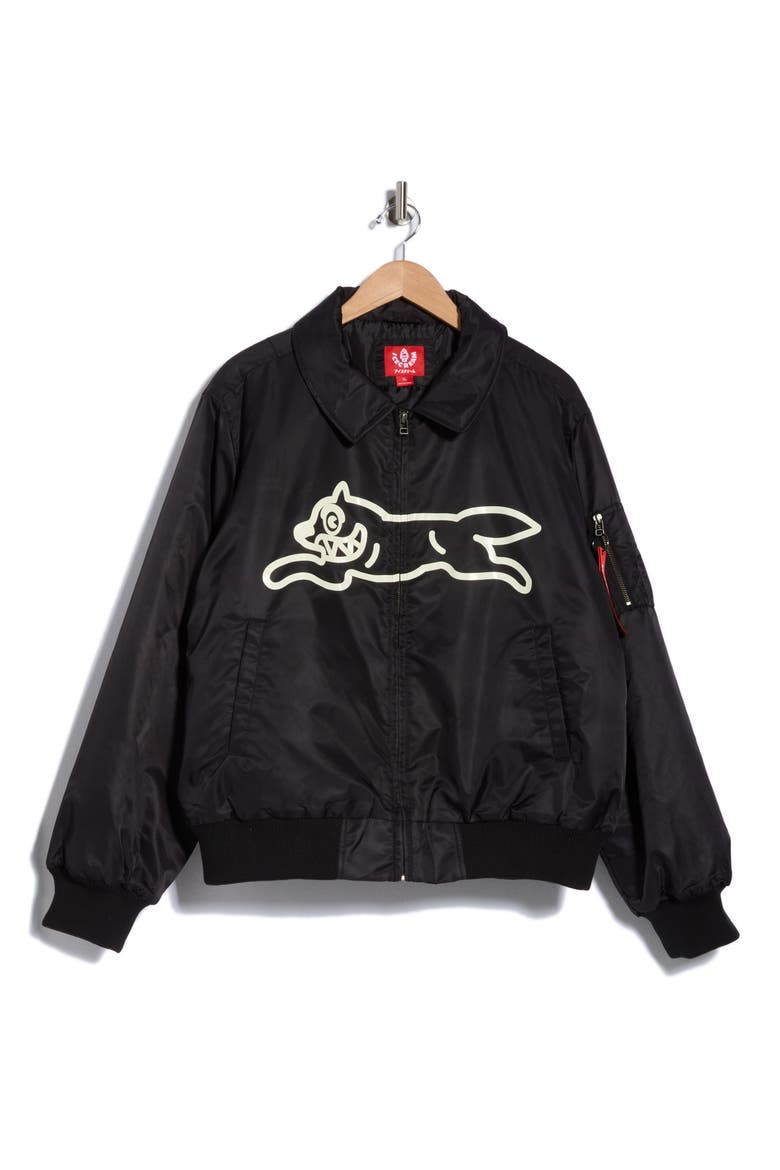 Logo Nylon Flight Jacket, Main, color, BLACK