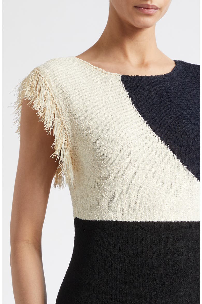Saskia Colorblock Intarsia Textured Fringe Midi Sweater Dress, Alternate, color, SAND MULTI