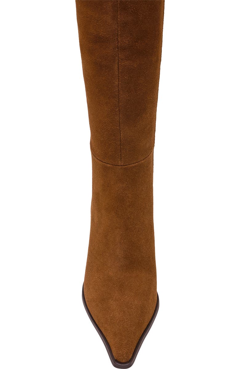 Steve Madden Lingo Pointed Toe Knee High Boot, Alternate, color, Chestnut Suede