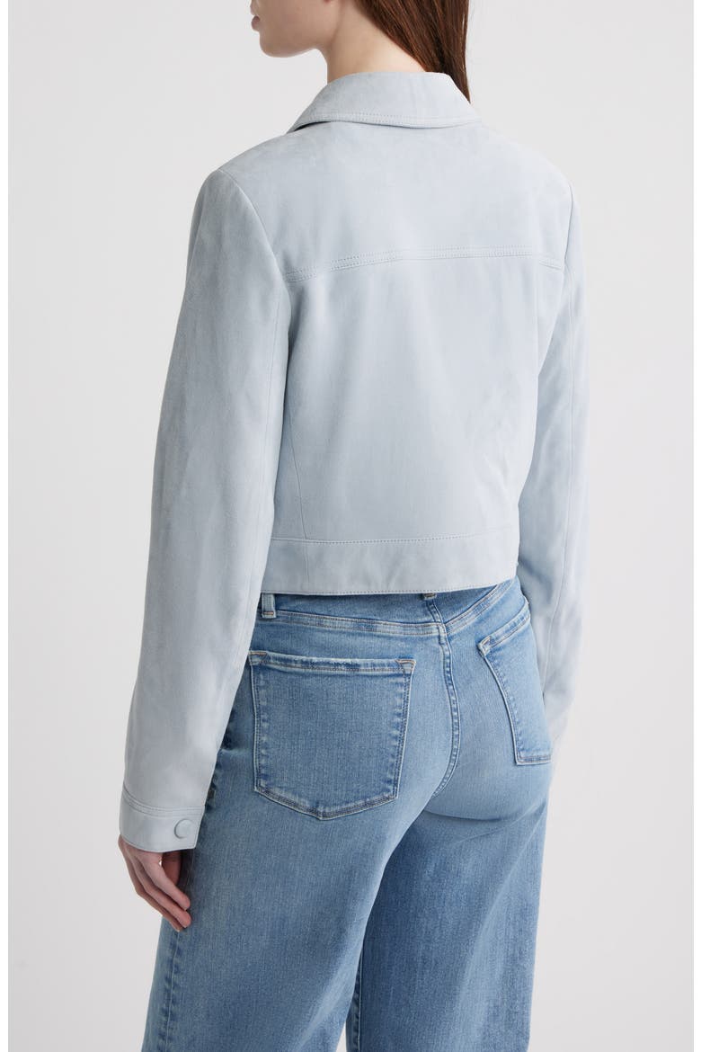 The Small Suede Jacket, Alternate, color, SKY BLUE