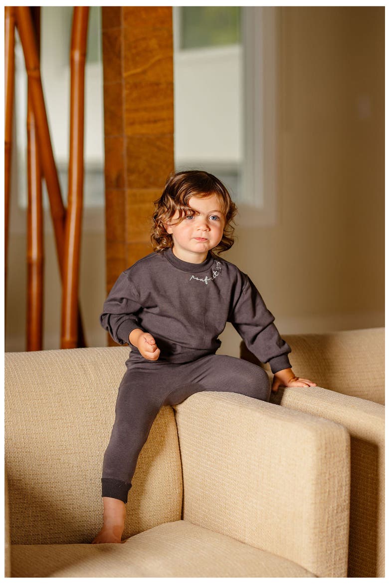 Boys POUF Embroidered Set, Alternate, color, Grey
