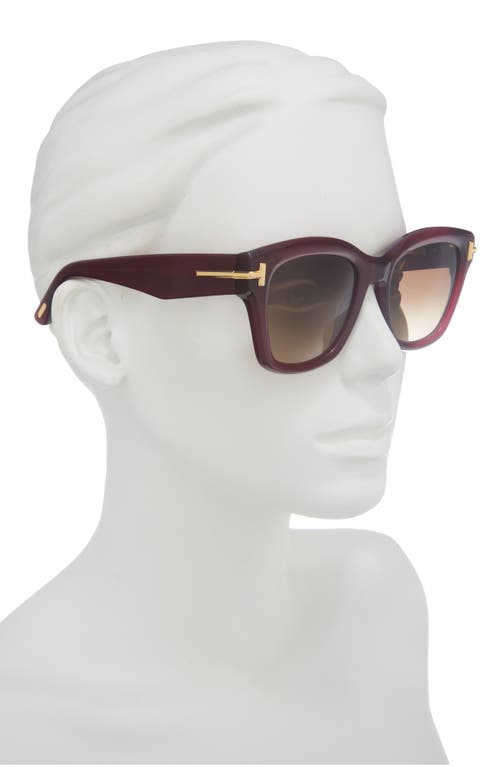 Tom Ford 53mm Gradient Butterfly Sunglasses