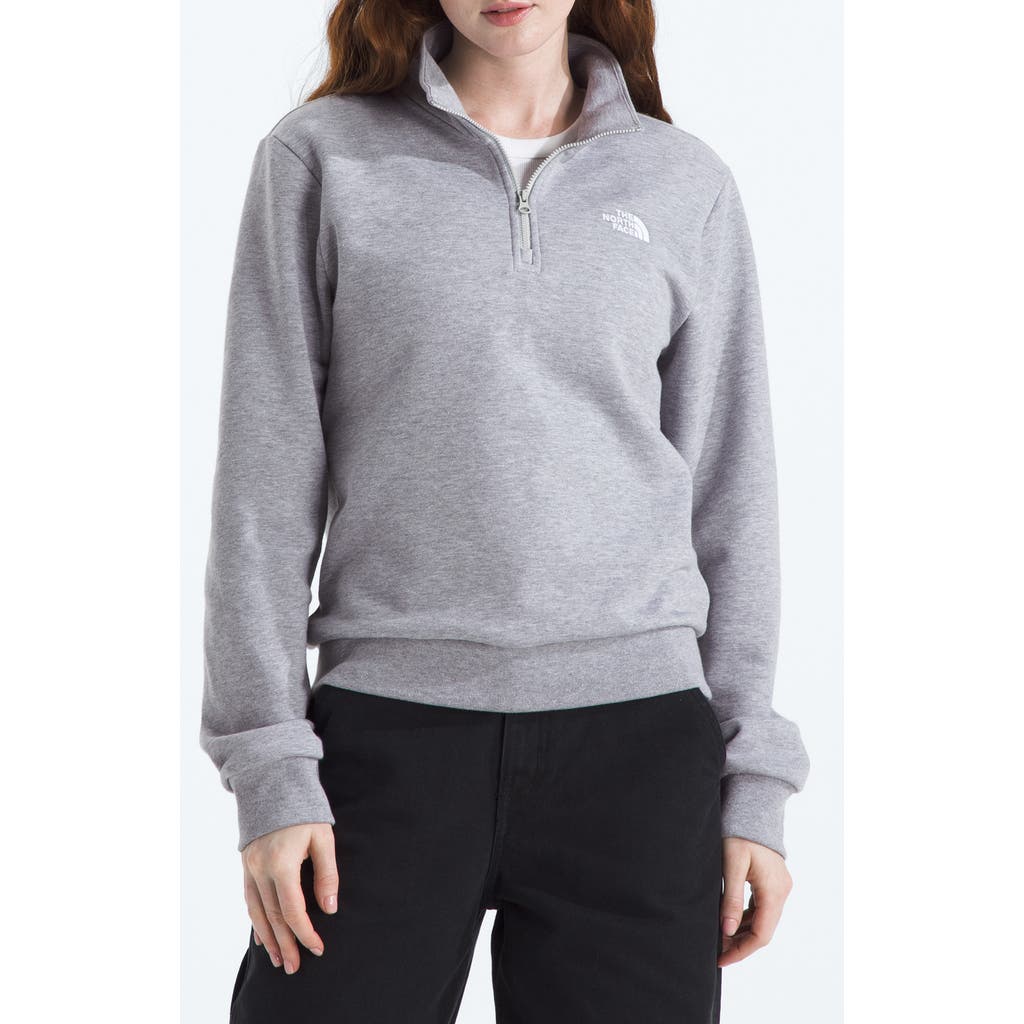 The North Face Evolution Quarter Zip Pullover In Gray