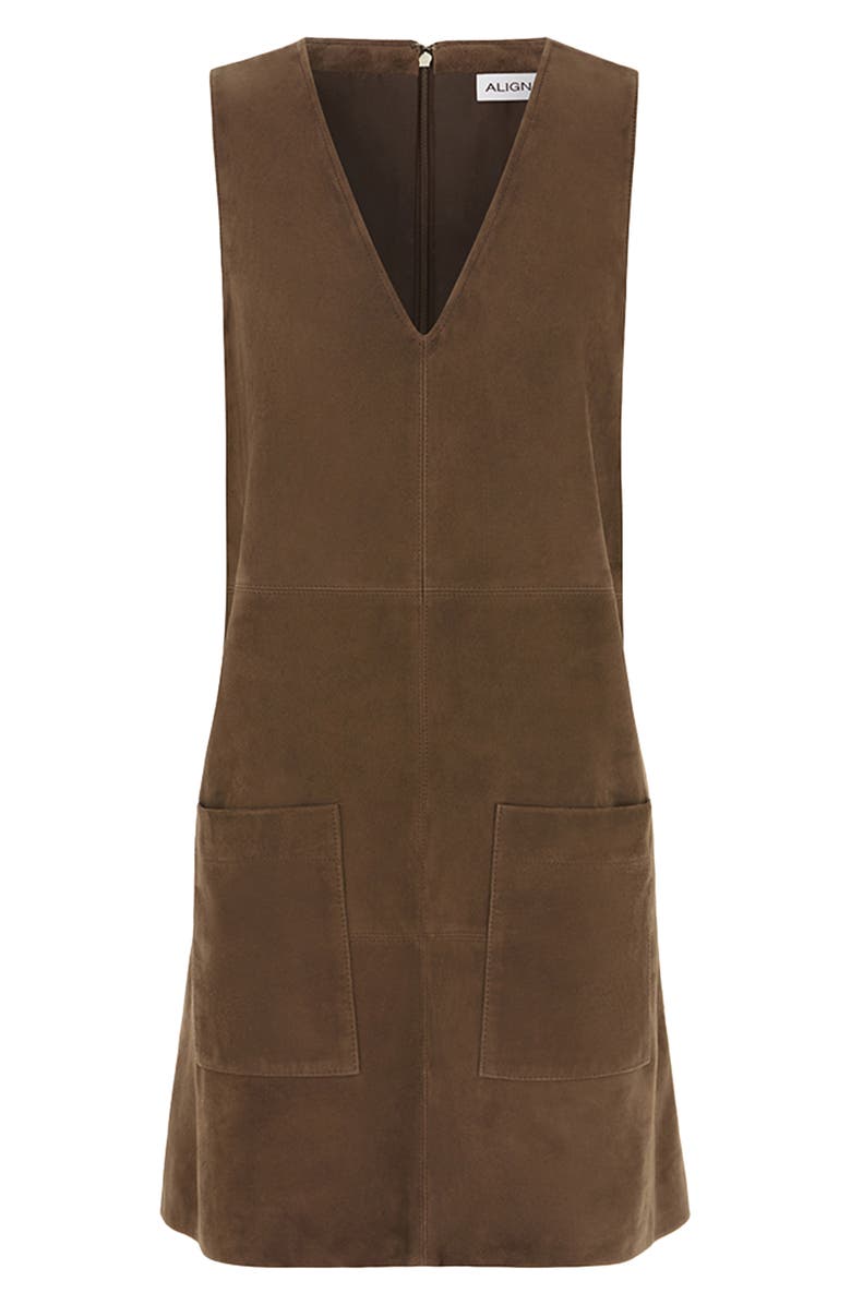 ALIGNE Piper Sleeveless Shift Dress, Main, color, Brown
