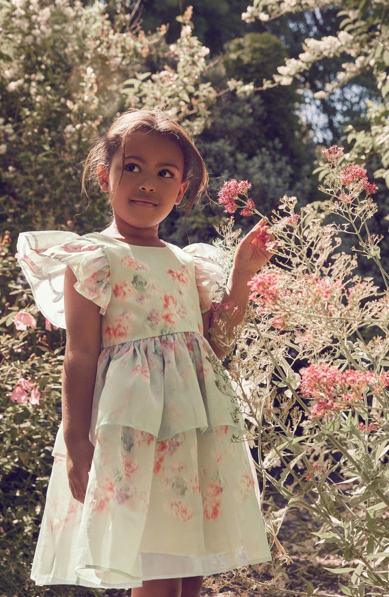 Laura Ashley Kids' Blurred Floral Organza Party Dress, Alternate, color, Green