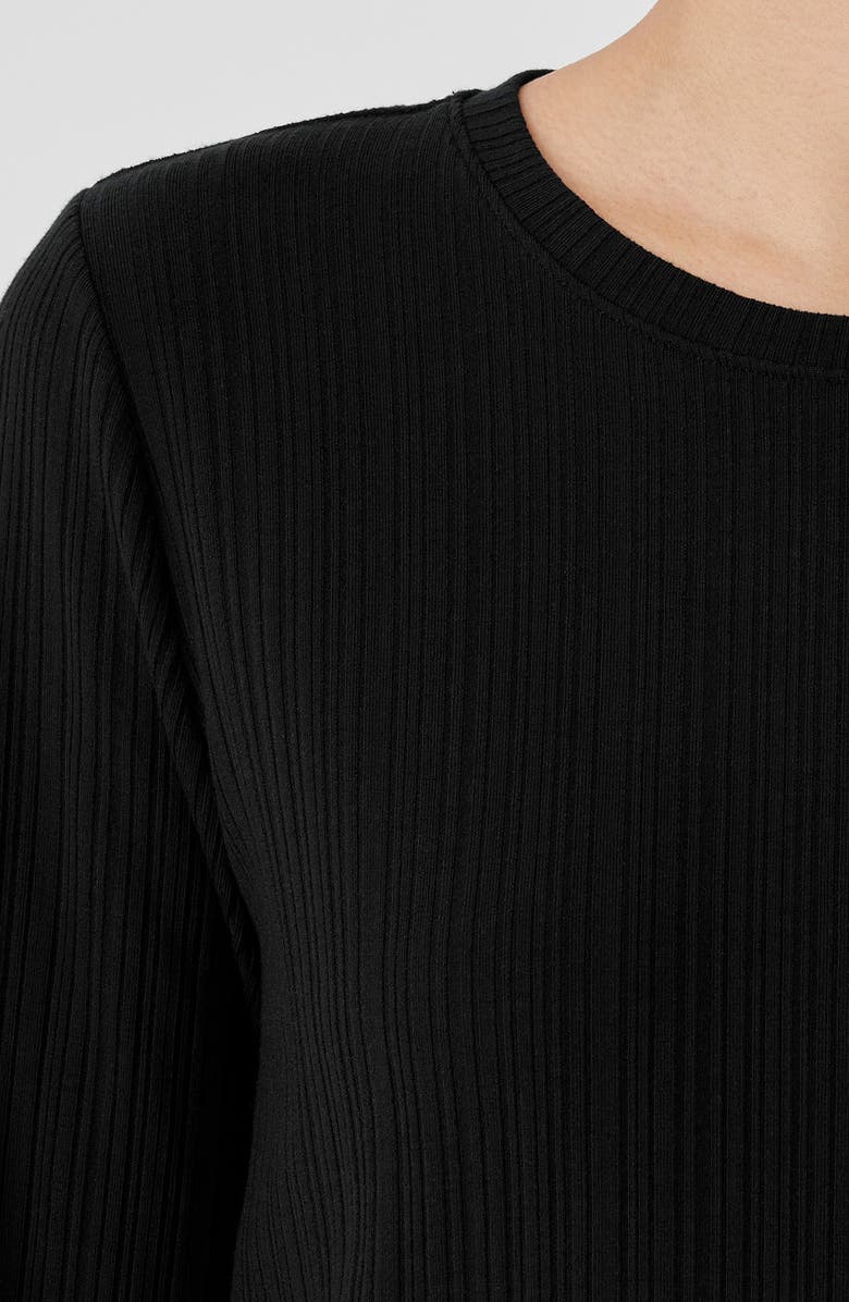 Eileen Fisher Long Sleeve Crewneck Top, Alternate, color, 
