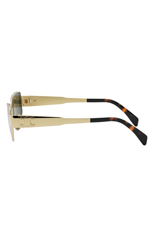 Celine Triomphe 55mm Cat Eye Sunglasses In Multi
