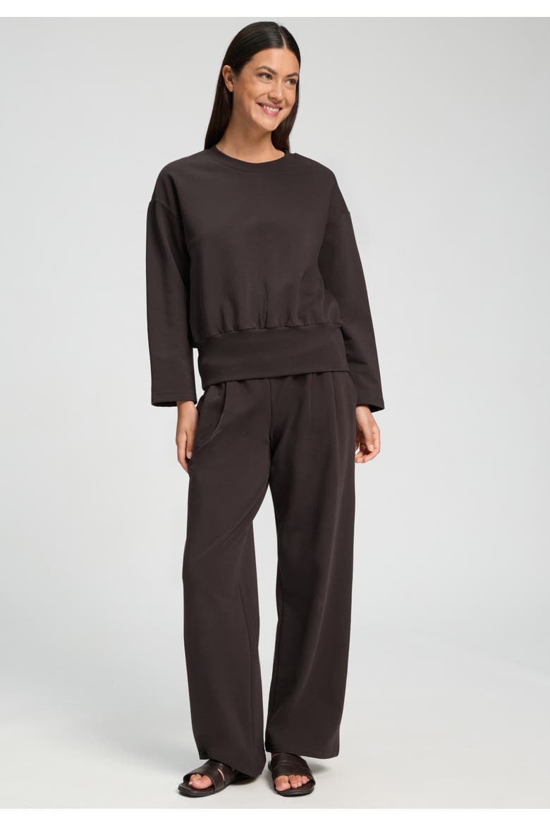 Natural Living Cotton Blend French Terry Pants, Alternate, color, Dark Mocha