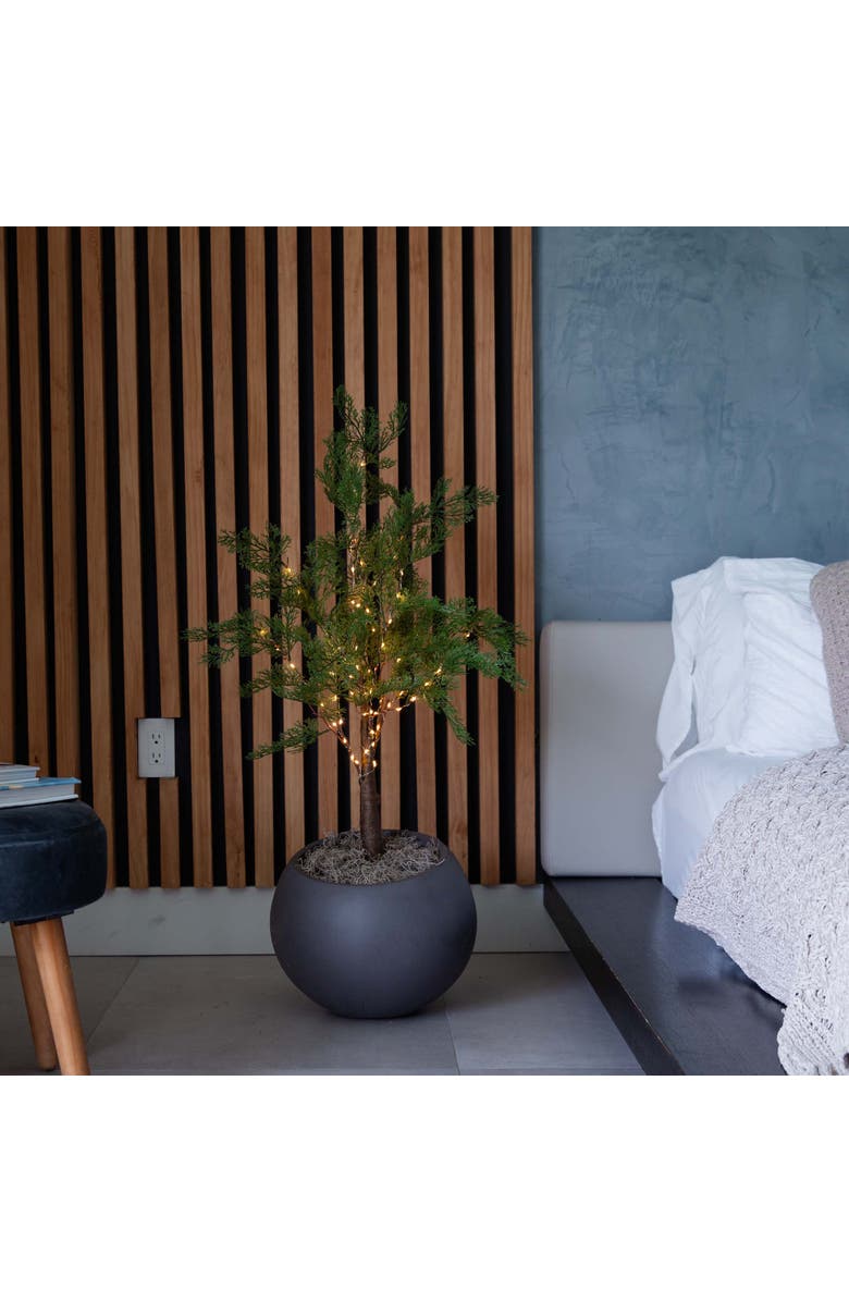 NEARLY NATURAL 3-ft Lighted Artificial Cypress Tree with 120 Warm White LED Lights, Alternate, color, Green