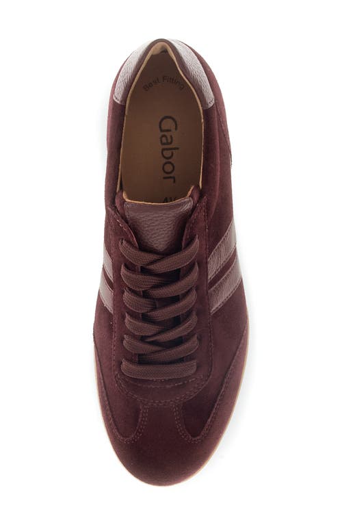 Gabor Stripe Low Top Sneaker In Burgundy
