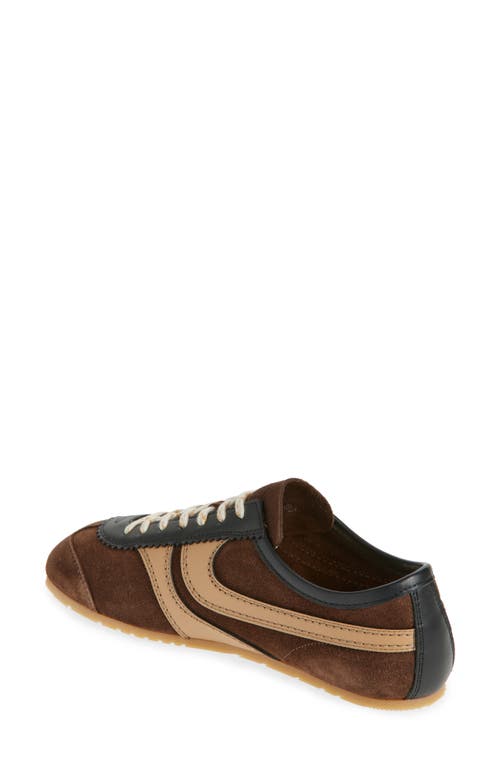 Shop Dries Van Noten Dustin Sneaker In Dark Brown
