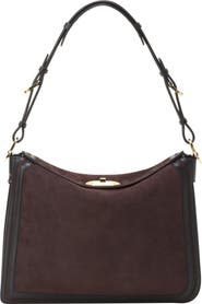 Lanvin Compagnon Asymmetrical Bag In Suede