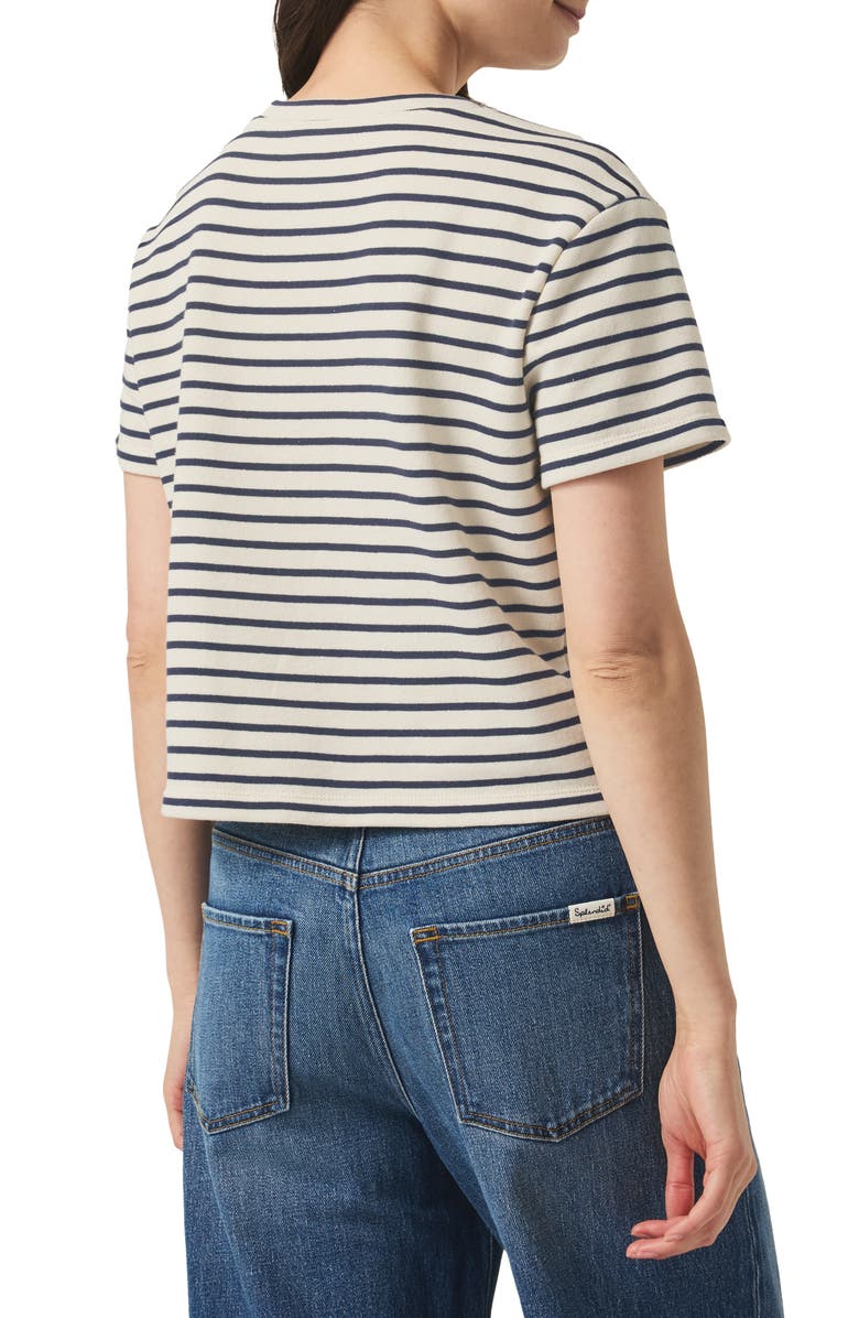Splendid Whit Stripe Boxy Crop Tee, Alternate, color,