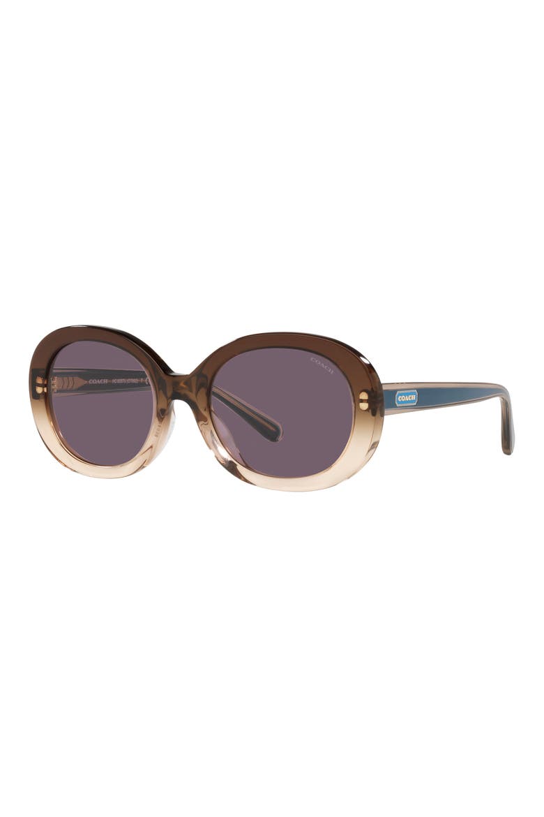 52mm Oval Sunglasses, Alternate, color, BROWN GRADIENT