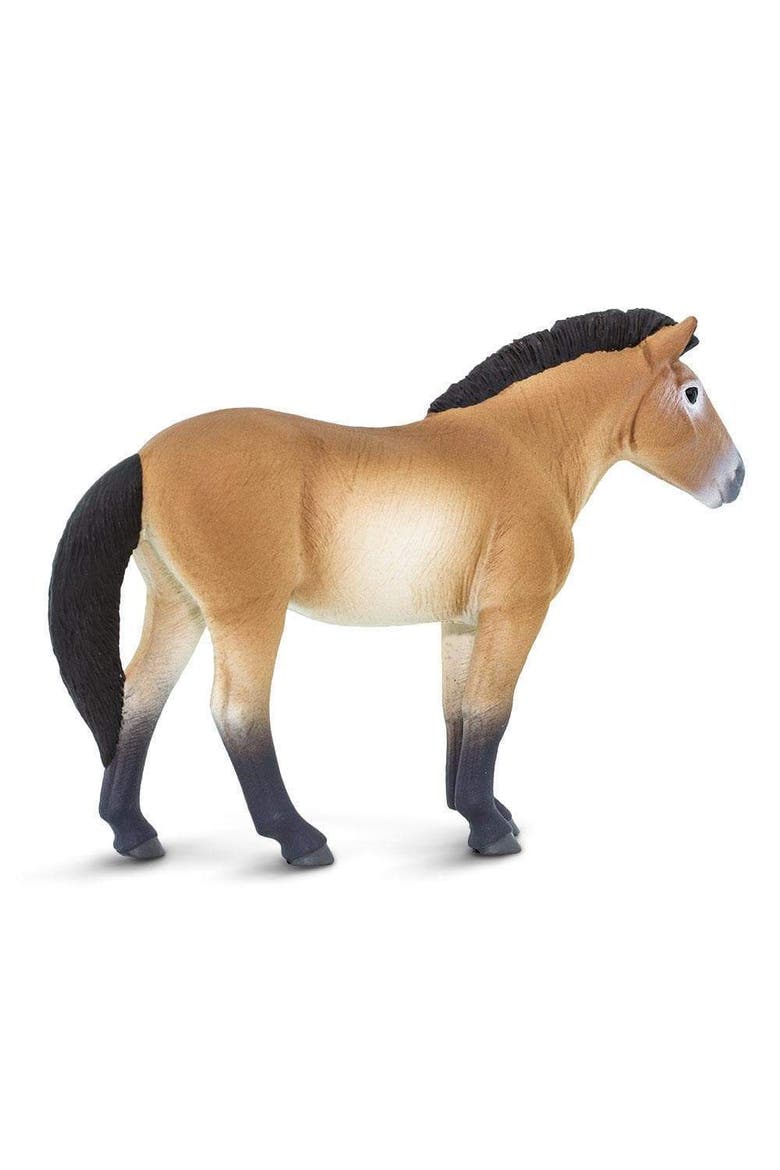 Przewalskis Horse Kids Toy Figure, Alternate, color, None