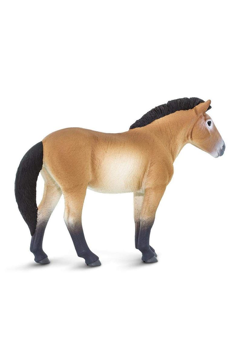 Safari Ltd. Przewalskis Horse Kids Toy Figure, Alternate, color, NO COLOR