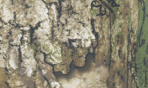 Jordan Kids' X Realtree Mj Mvp Fleece Hoodie In Green