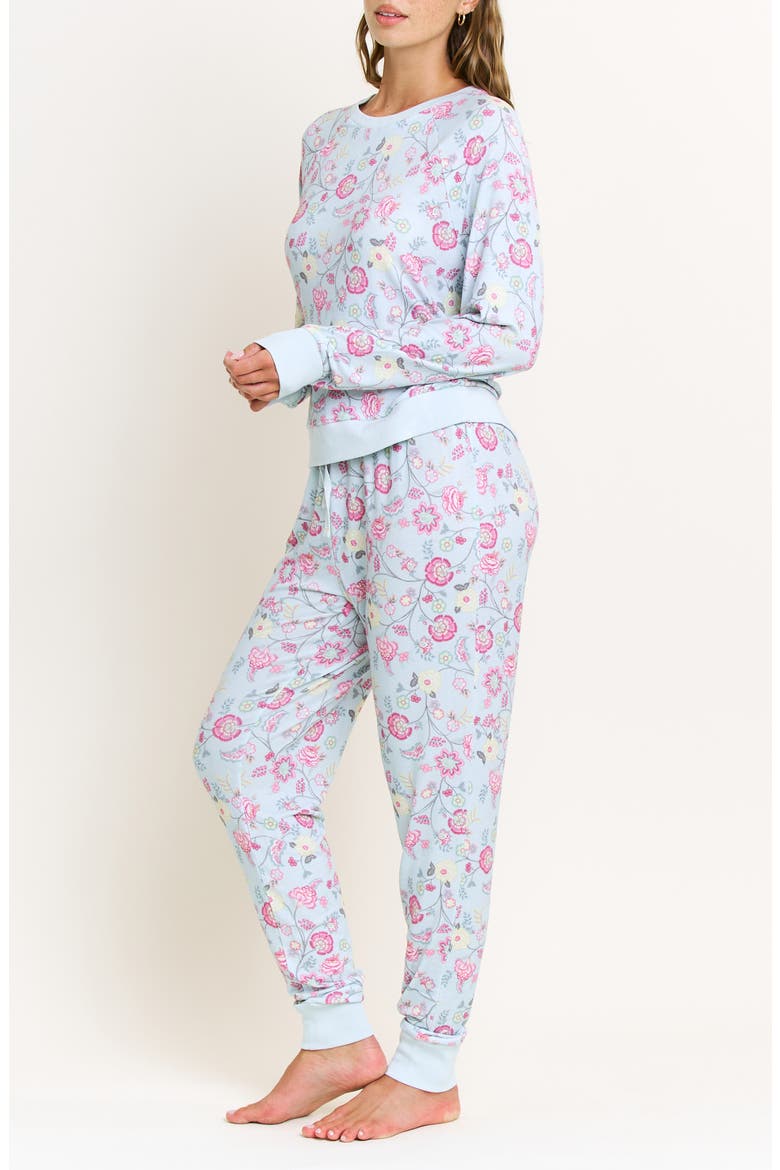Star Seeker Brushed Jersey Pajamas, Alternate, color, DRIFT VINE POPPY
