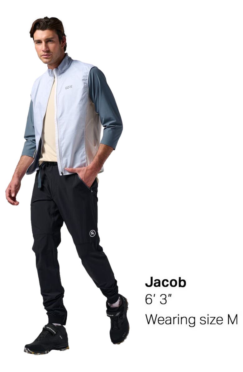 Backcountry Slickrock Pant - Men's, Alternate, color, Black