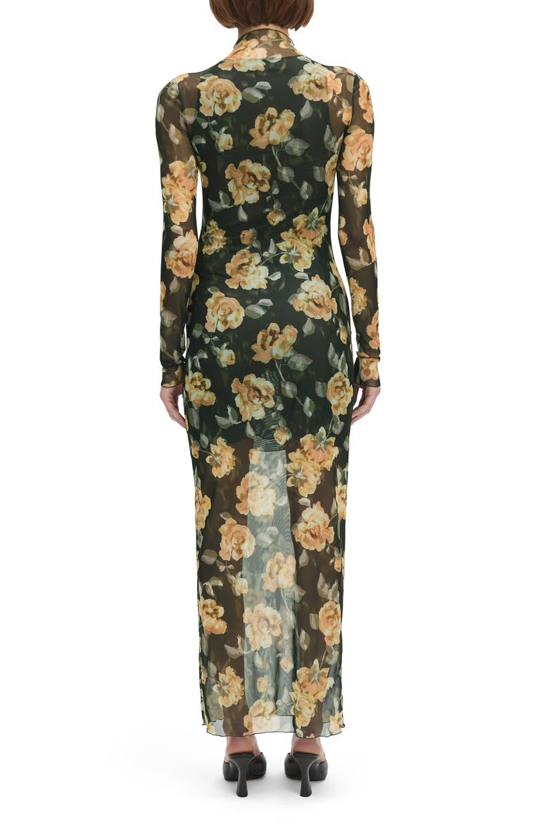 The Sheer Fantasy Floral Long Sleeve Mesh Maxi Dress, Alternate, color, GOLDEN FLOWERBED