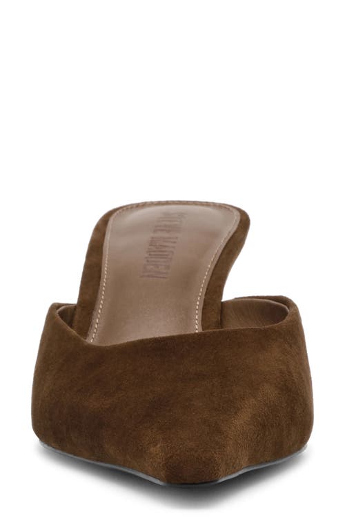 Steve Madden Lisbeth Pointed Toe Mule