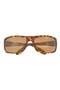 selected Tortoise Tortoise Bronze