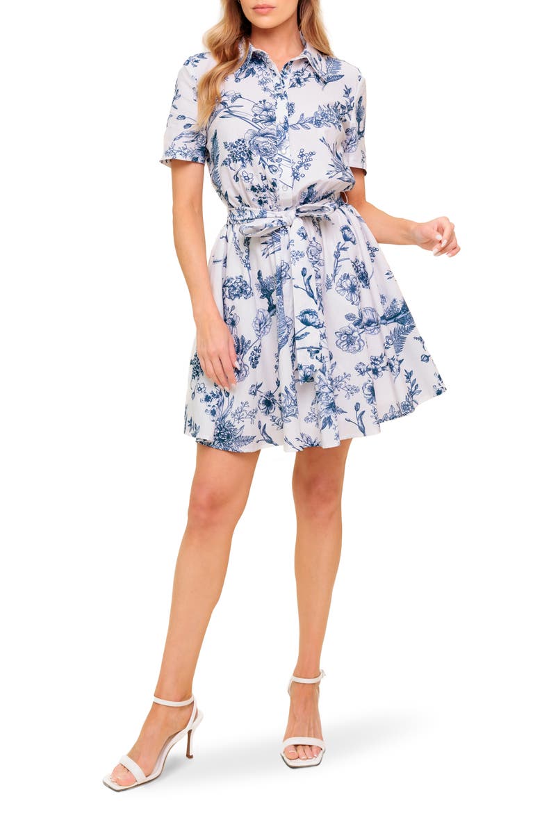 Mini Shirtdress, Main, color, IVORY BLUE