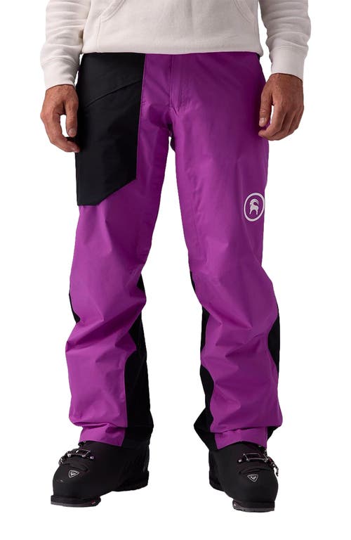 Backcountry Crestcarver Gore-tex Shell Pant In Purple