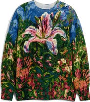 Desigual Print Pullover