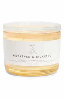 PORTOFINO CANDLES Pineapple & Cilantro Artisan Candle