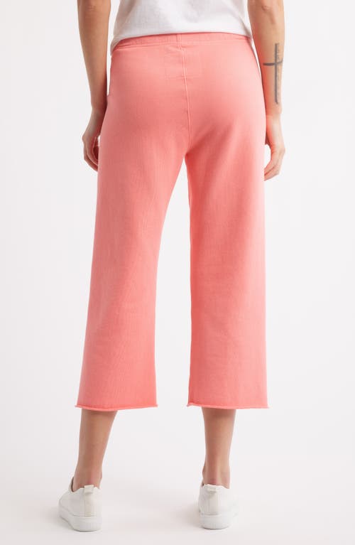 Frank & Eileen Catherine Crop Wide Leg Sweatpants In Passion Fruit