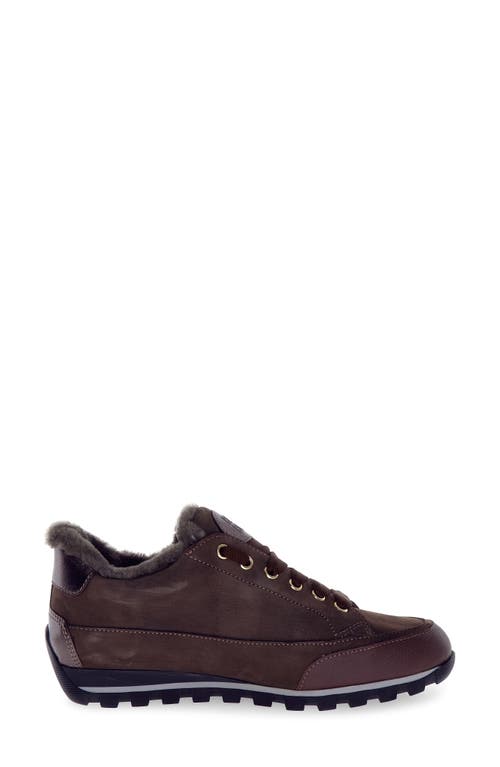 Candice Cooper Runlo Genuine Shearling Lined Sneaker In Brown