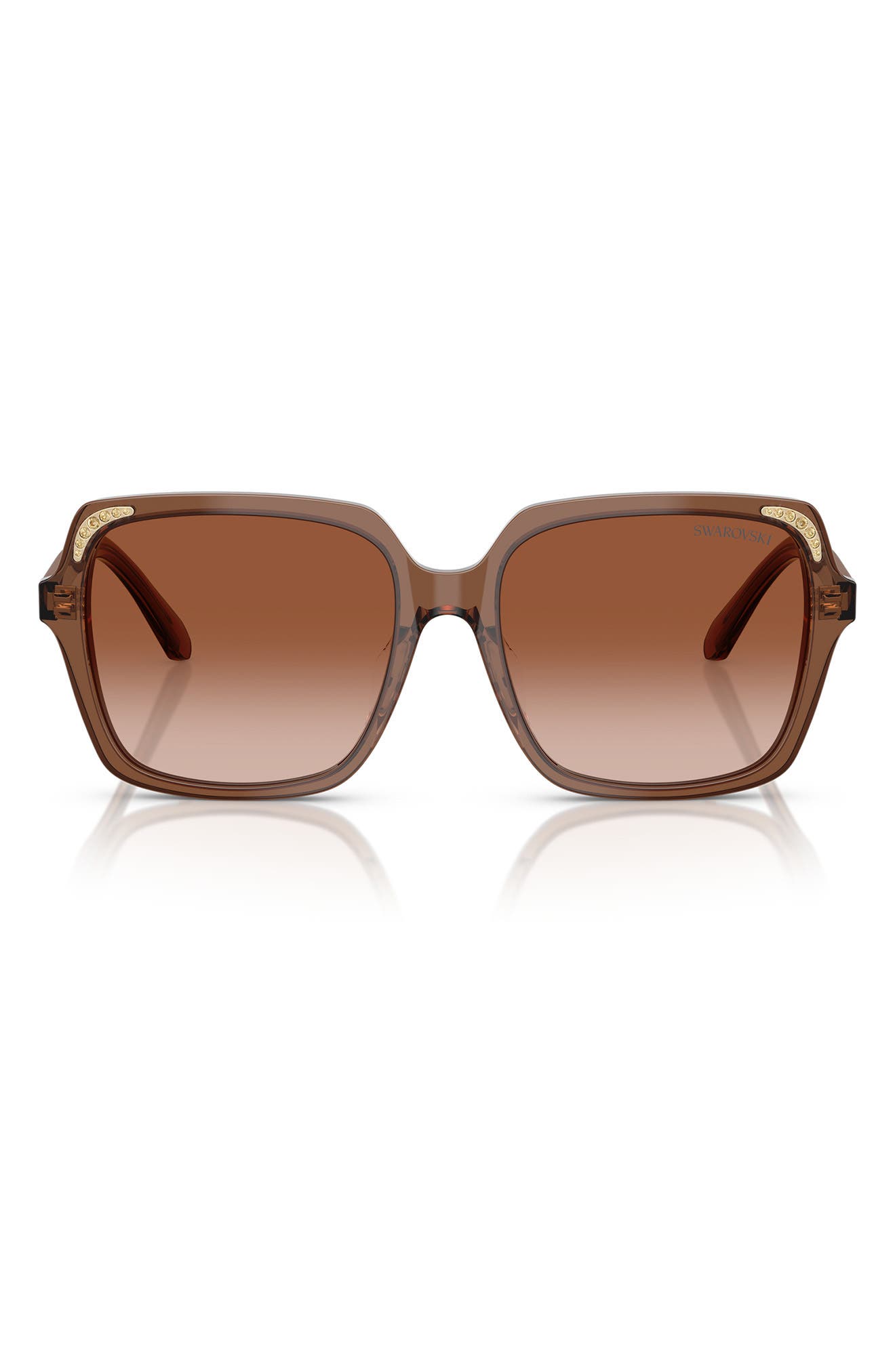 selected TRANSPARENT BROWN