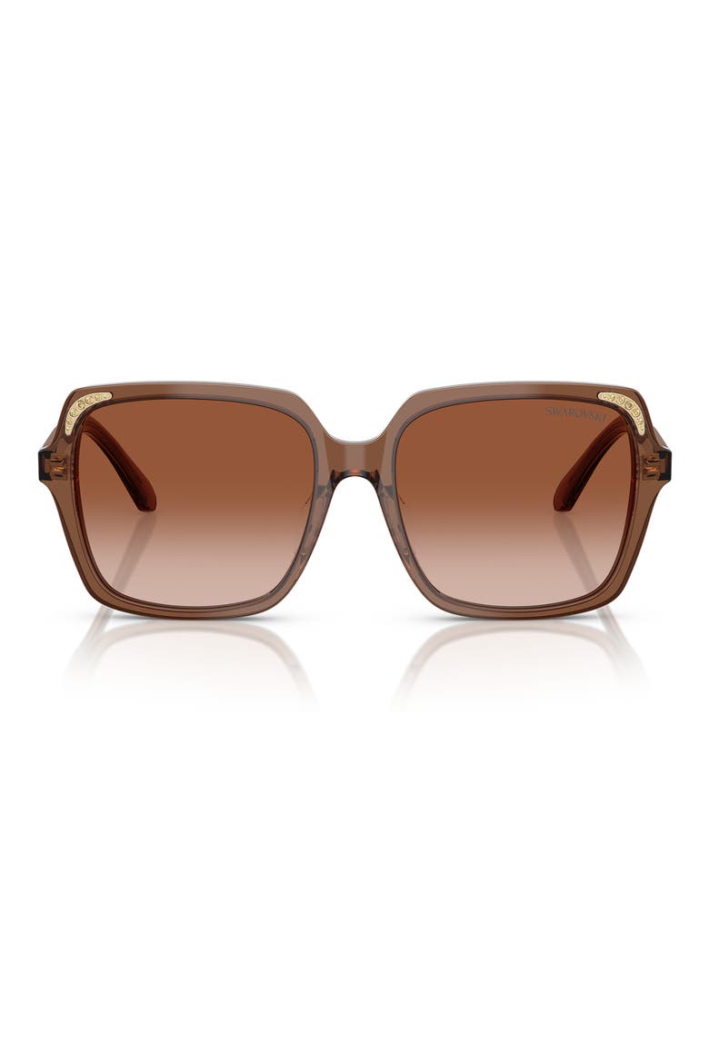56mm Gradient Square Sunglasses, Main, color, TRANSPARENT BROWN